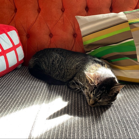 🧳 Shop information - Picture 2 of 3